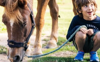 El caballo como facilitador en las terapias niño en terapia asistida con caballos