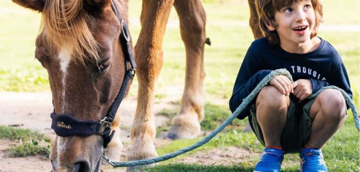 niño en terapia asistida con caballos