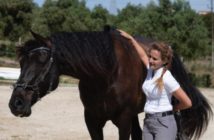 Nuestro caballo y la regulación emocional