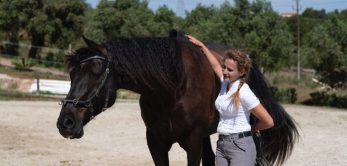 Nuestro caballo y la regulación emocional
