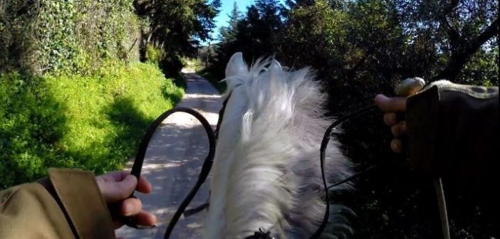 ¡Ayuda! ¡Mi caballo no va!