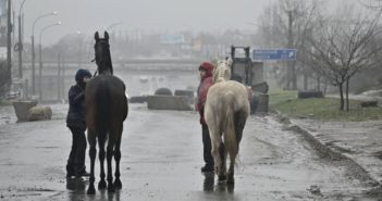 caballos kiev