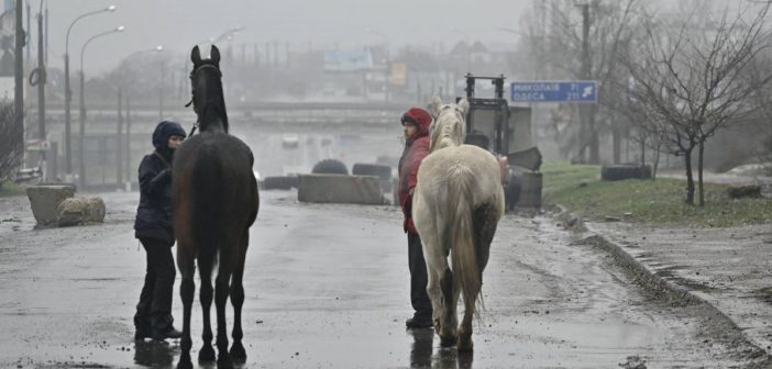 caballos kiev