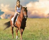 La Copropiedad de un caballo