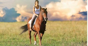 La Copropiedad de un caballo