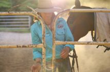 Coaching con caballos