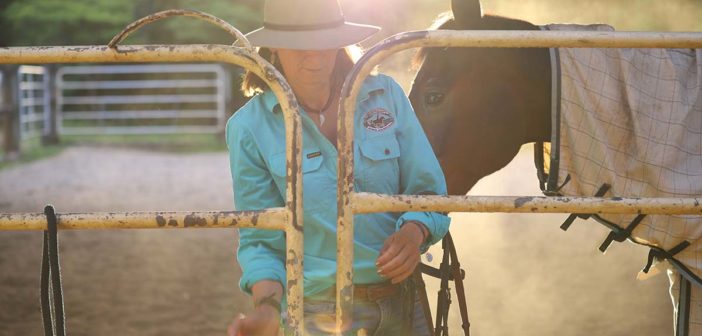 Coaching con caballos