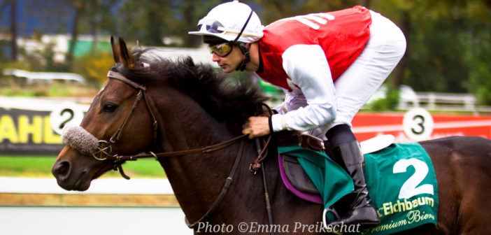 Caballo de carreras bitless