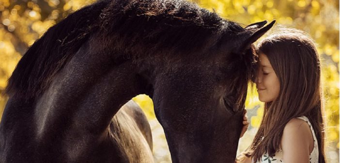 Tu caballo, tu maestro