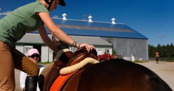 ¿Eres lo suficientemente valiente como para ser amable con tu caballo, contigo mismo y con los demás?