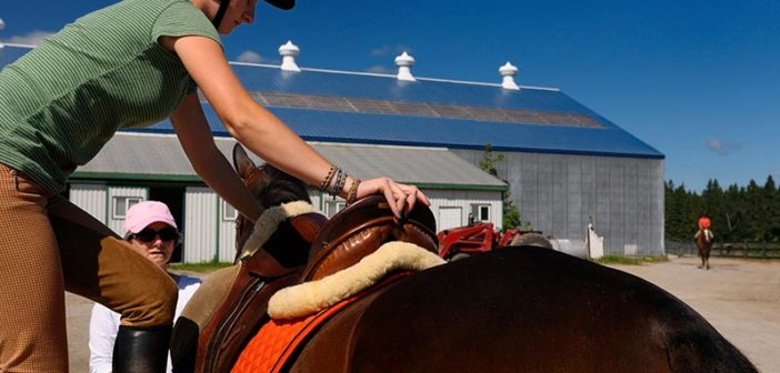 ¿Eres lo suficientemente valiente como para ser amable con tu caballo, contigo mismo y con los demás?