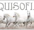 equisofia