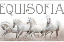 Libros a caballo – Equisofía equisofia