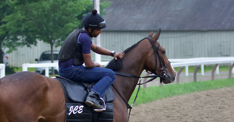 caballo de carreras